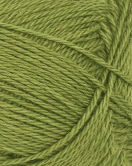 <span class="yarn-title">Alpakka Silke</span> <span class="yarn-color">9564 Matcha</span>