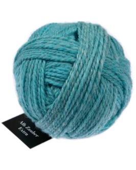 <span class="yarn-title">Alb Zauber Extra</span> <span class="yarn-color">2725 Poseidon</span>