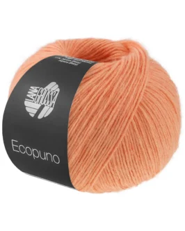 <span class="yarn-title">Ecopuno</span> <span class="yarn-color">229 Lachsorange</span>