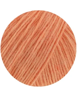 <span class="yarn-title">Ecopuno</span> <span class="yarn-color">229 Lachsorange</span>