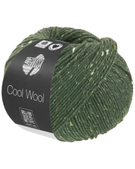 <span class="yarn-title">Cool Wool Dots</span> <span class="yarn-color">8 Graugrün</span>