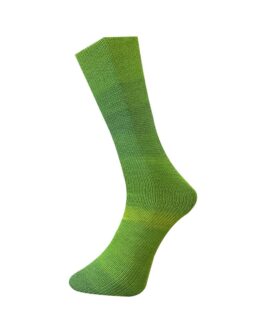<span class="yarn-title">Sockenwolle mit Seide 4Fach</span> <span class="yarn-color">628-23 Grün</span>