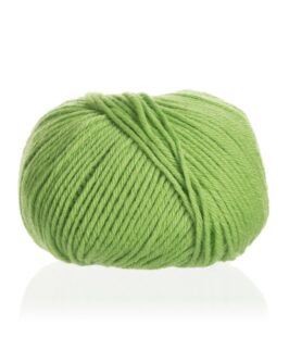<span class="yarn-title">Vielseitige 125</span> <span class="yarn-color">L29 Grün</span>