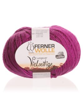 <span class="yarn-title">Vielseitige 210</span> <span class="yarn-color">V16 Cyclam</span>