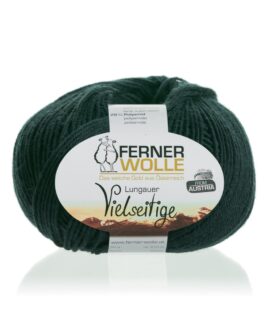 <span class="yarn-title">Vielseitige 210</span> <span class="yarn-color">V24 Wald</span>