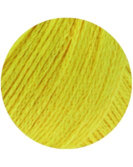 <span class="yarn-title">Alta Moda Cotolana</span> <span class="yarn-color">54 Limette</span>