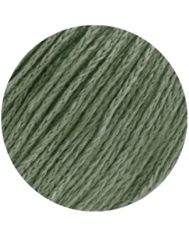 <span class="yarn-title">Alta Moda Cotolana</span> <span class="yarn-color">56 Resedagrün</span>