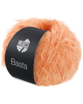 <span class="yarn-title">Basta</span> <span class="yarn-color">6 Apricot</span>