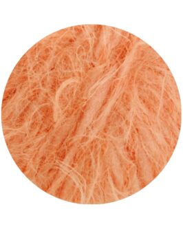 <span class="yarn-title">Basta</span> <span class="yarn-color">6 Apricot</span>