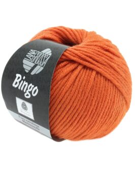 <span class="yarn-title">Bingo Mélange/Uni</span> <span class="yarn-color">183 Orange</span>