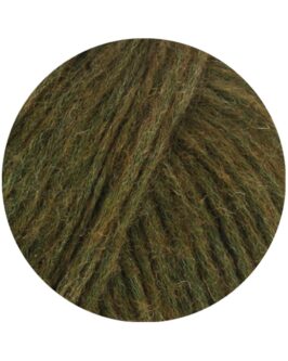 <span class="yarn-title">Brigitte No. 2</span> <span class="yarn-color">48 Dunkeloliv</span>