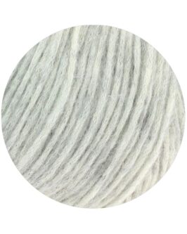 <span class="yarn-title">Brigitte No. 2</span> <span class="yarn-color">13 Silbergrau</span>