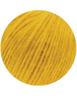 <span class="yarn-title">Brigitte No. 2</span> <span class="yarn-color">21 Maisgelb</span>