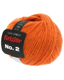 <span class="yarn-title">Brigitte No. 2</span> <span class="yarn-color">45 Mandarin</span>