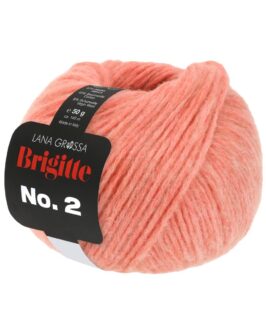 <span class="yarn-title">Brigitte No. 2</span> <span class="yarn-color">46 Lachs</span>