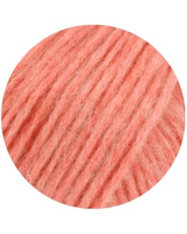 <span class="yarn-title">Brigitte No. 2</span> <span class="yarn-color">46 Lachs</span>