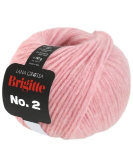 <span class="yarn-title">Brigitte No. 2</span> <span class="yarn-color">54 Rosa</span>