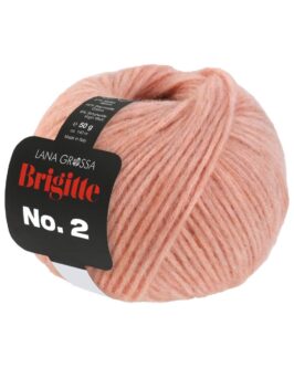 <span class="yarn-title">Brigitte No. 2</span> <span class="yarn-color">55 Pfirsich</span>