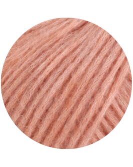 <span class="yarn-title">Brigitte No. 2</span> <span class="yarn-color">55 Pfirsich</span>
