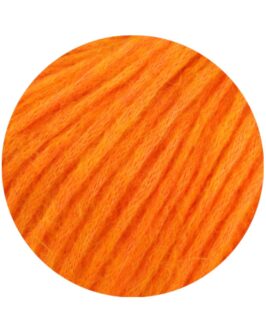 <span class="yarn-title">Brigitte No. 2</span> <span class="yarn-color">56 Orange</span>