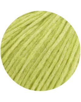 <span class="yarn-title">Brigitte No. 2</span> <span class="yarn-color">58 Zartgrün</span>
