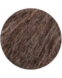 <span class="yarn-title">Brigitte No. 2</span> <span class="yarn-color">60 Graubraun</span>