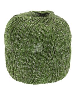 <span class="yarn-title">Brillino</span> <span class="yarn-color">26 Moosgrün</span>