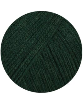 <span class="yarn-title">Cashmere 16 Fine</span> <span class="yarn-color">53 Dunkelgrün</span>