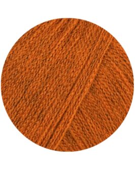<span class="yarn-title">Cashmere 16 Fine</span> <span class="yarn-color">56 Cognac</span>