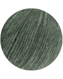 <span class="yarn-title">Cashmere 16 Fine</span> <span class="yarn-color">34 Graugrün</span>