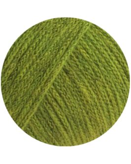 <span class="yarn-title">Cashmere 16 Fine</span> <span class="yarn-color">42 Limette</span>