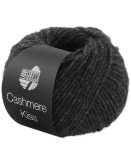 <span class="yarn-title">Cashmere Kiss</span> <span class="yarn-color">107 Anthrazit</span>