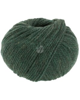 <span class="yarn-title">Cool Merino</span> <span class="yarn-color">19 Dunkelgrün</span>