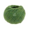 Cool Merino 4 Grün