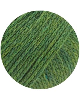 <span class="yarn-title">Cool Merino</span> <span class="yarn-color">4 Grün</span>