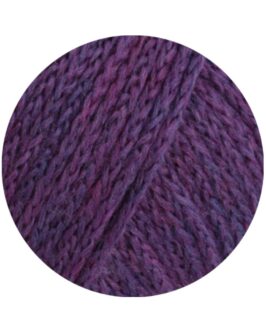 <span class="yarn-title">Cool Merino</span> <span class="yarn-color">25 Aubergine</span>