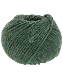 <span class="yarn-title">Cool Merino Big</span> <span class="yarn-color">205 Moosgrün</span>