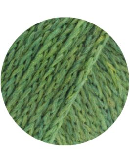 <span class="yarn-title">Cool Merino Big</span> <span class="yarn-color">204 Grün</span>