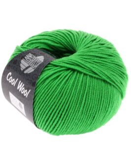 <span class="yarn-title">Cool Wool Uni</span> <span class="yarn-color">504 Apfelgrün</span>