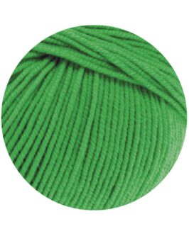 <span class="yarn-title">Cool Wool Uni</span> <span class="yarn-color">504 Apfelgrün</span>