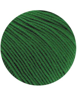 <span class="yarn-title">Cool Wool Uni</span> <span class="yarn-color">2017 Grün</span>
