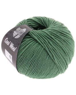 <span class="yarn-title">Cool Wool Uni</span> <span class="yarn-color">2021 Dunkles Graugrün</span>