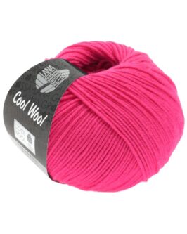 <span class="yarn-title">Cool Wool Uni</span> <span class="yarn-color">2043 Himbeer</span>