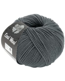 <span class="yarn-title">Cool Wool Uni</span> <span class="yarn-color">2064 Grau</span>