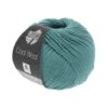 Cool Wool Uni 2072 helles Seegrün