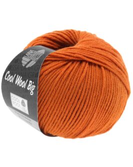 <span class="yarn-title">Cool Wool Big Uni</span> <span class="yarn-color">970 Rotorange</span>