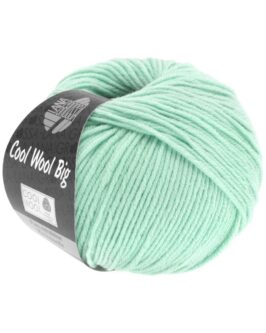 <span class="yarn-title">Cool Wool Big Uni</span> <span class="yarn-color">978 Pastellgrün</span>