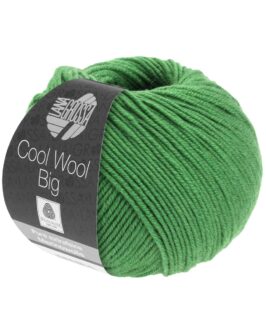 <span class="yarn-title">Cool Wool Big Uni</span> <span class="yarn-color">997 Blattgrün</span>