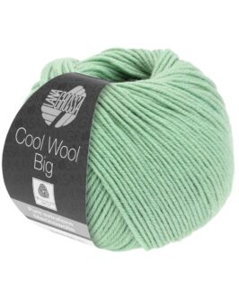 <span class="yarn-title">Cool Wool Big Uni</span> <span class="yarn-color">998 Lindgrün</span>