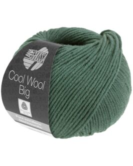<span class="yarn-title">Cool Wool Big Uni</span> <span class="yarn-color">1004 Moosgrün</span>